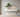 Minimalist home décor with bonsai tree, LED lamp, and aroma diffuser in neutral tones - Aspire Alley