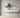 Minimalist home décor with bonsai tree, LED lamp, and aroma diffuser in neutral tones - Aspire Alley