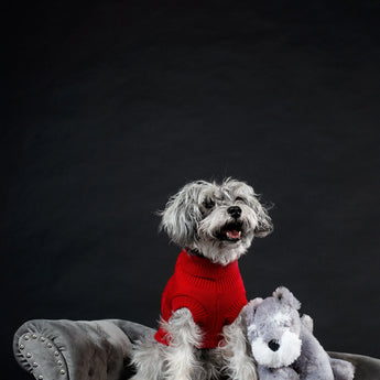 Pet Collections - Aspire Alley