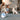 FetchMate Launcher – Automatic Dog Ball Thrower - Aspire Alley