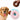 Plush Dog Donut Chew Toy - Aspire Alley