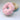 Plush Dog Donut Chew Toy - Aspire Alley