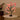 RoseGlow LED Bonsai Lamp - Aspire Alley