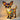 GlowCritter Lamp - Aspire Alley