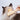 FurGlide Self-Cleaning Pet Brush