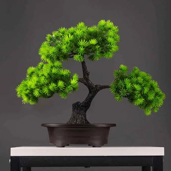 Pine Landscape Bonsai Tree