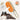 PetGroom 3-in-1 Electric Steam Brush - Aspire Alley