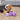 Indestructible Squeaky Dog Toy