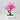Zen Bonsai Potted Plant