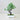 Zen Bonsai Potted Plant