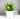 Artificial Eucalyptus Bonsai Plant - Realistic Faux Greenery - Aspire Alley