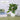 Zen Bonsai Potted Plant