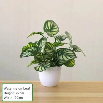 EverGreen Bonsai Decor - Aspire Alley