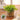 Faux Eucalyptus Desk Plant - Realistic Artificial Greenery Decor - Aspire Alley