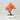 Zen Bonsai Potted Plant