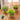 Faux Eucalyptus Desk Plant - Realistic Artificial Greenery Decor - Aspire Alley