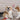 GigglePuff Dog Toy - Aspire Alley