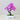 Zen Bonsai Potted Plant