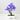 Zen Bonsai Potted Plant