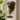Vintage Dog Welcome Chime hanging on door with rustic metal dog silhouette and bell - Aspire Alley