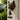 Vintage Dog Welcome Chime hanging on door with rustic metal dog silhouette and bell - Aspire Alley