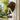 Vintage Dog Welcome Chime hanging on door with rustic metal dog silhouette and bell - Aspire Alley