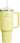 Stanley Quencher H2.0 FlowState Tumbler - Aspire Alley