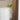 NordicBloom Hanging Glass Vase - Aspire Alley