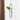 NordicBloom Hanging Glass Vase - Aspire Alley