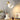 GlowNest Desk Lamp - Aspire Alley