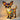 GlowCritter Lamp - Aspire Alley