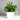 Artificial Eucalyptus Bonsai Plant - Realistic Faux Greenery - Aspire Alley