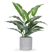 Artificial Potted Mini Plants - Faux Greenery | Aspire Alley