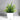 Artificial Eucalyptus Bonsai Plant - Realistic Faux Greenery - Aspire Alley
