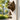 Vintage Dog Welcome Chime hanging on door with rustic metal dog silhouette and bell - Aspire Alley