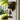 Vintage Dog Welcome Chime hanging on door with rustic metal dog silhouette and bell - Aspire Alley