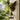 Vintage Dog Welcome Chime hanging on door with rustic metal dog silhouette and bell - Aspire Alley